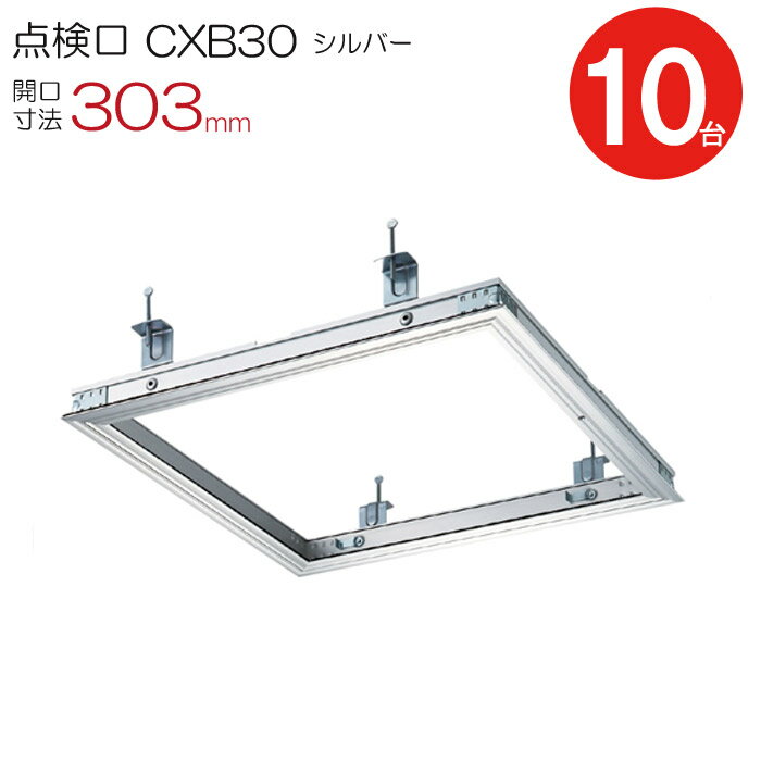  ŷ ŷ ̩ ʥ  CXB30 ۱勵   С ˡ 303mm 󥰥ϥå 101ñ å ŷ΢    ߥ˥ ۶ʪ   ʪ