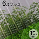 波板 ポリカ ナミイタ 鉄板小波（32波） 6尺 1820×655mm ブロンズ（810） 茶 10枚セット JIS規格品 タキロン 屋根材 テラス ベランダ 倉庫 車庫 目隠し エクステリア 代金引換不可 送料無料 DIY