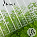 波板 ポリカ ナミイタ 鉄板小波（32波） 7尺 2120××655mm クリア（610） 透明 10枚セット JIS規格品 タキロン 屋根材 テラス ベランダ 倉庫 車庫 目隠し エクステリア 代金引換不可 送料無料 DIY