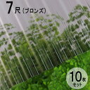 波板 ポリカ ナミイタ 鉄板小波（32波） 7尺 2120×655mm ブロンズ（810） 茶 10枚セット JIS規格品 タキロン 屋根材 テラス ベランダ 倉庫 車庫 目隠し エクステリア 代金引換不可 送料無料 DIY