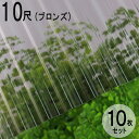 波板 ポリカ ナミイタ 鉄板小波（32波） 10尺 3030×655mm ブロンズ（810） 茶 10枚セット JIS規格品 タキロン 屋根材 テラス ベランダ 倉庫 車庫 目隠し エクステリア 代金引換不可 送料無料 DIY