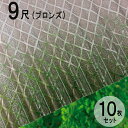 波板 ポリカ ナミイタ クロスライン 鉄板小波（32波） 9尺 2730×655mm ブロンズ（830） 茶 10枚セット JIS規格品 タキロン 屋根材 テラス ベランダ 倉庫 車庫 目隠し 温度上昇 エクステリア 代金引換不可 送料無料 DIY