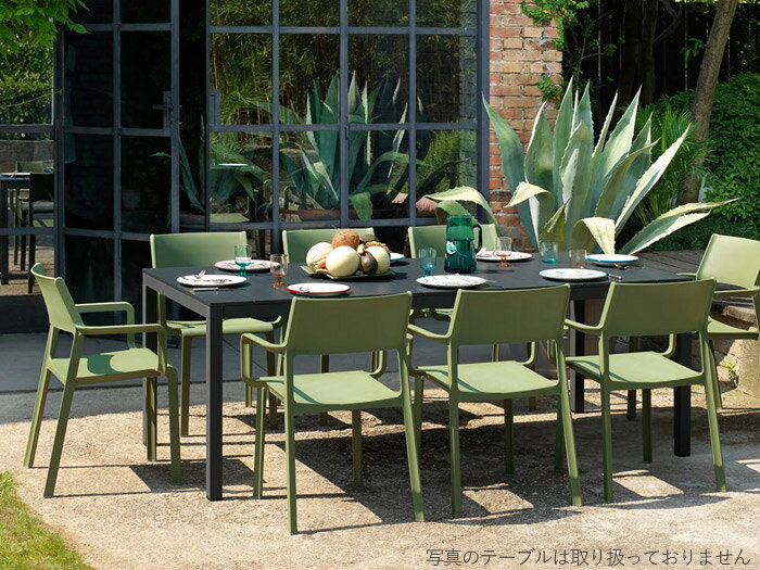 ガーデン チェア プラスチック 上質 シンプルモダン トリルアームチェアー トープ ...