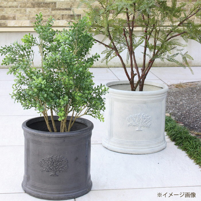 プランター 植木鉢 おしゃれ 鉢植え 丸型 円柱 ラウンドポットフォレスト6号ポット...