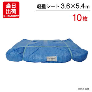 ブルーシート 3.6m×5.4m 輸入 軽量シート 10枚単位 ハトメ付 レジャー シート 敷物 ござ 災害 台風 防災 養生 対策 運動会 行楽 花見 海水浴 キャンプ テント 雨よけ 防水 屋外 アウトドア 作業 道具 DIY