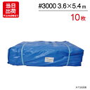 ブルーシート 3.6m×5.4m 輸入 #3000 10枚単位 ハトメ付 レジャー シート 敷物 ござ 災害 台風 防災 養生 対策 運動会 行楽 花見 海水浴 キャンプ テント 雨よけ 防水 屋外 アウトドア 作業 道具 DIY