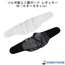 ソルボ楽らく腰ガード レギュラー M 三進興産 黒 ブラック 白 ホワイト 男女兼用 腰痛 骨盤 サポート 健康 安定 薄型 軽量 高齢者