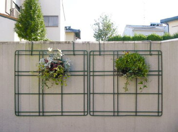 ガーデニングフェンス トレリス ラティス ベランダガーデニング ブロリスBR1 ガーデニンググッズ ラティス 園芸用品