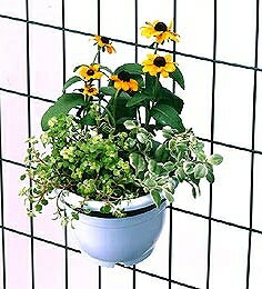 ������� �ץ�󥿡��եå� �����ǥ˥� F-290 ���̥ץ�󥿡��եå� 7mm�ͥåȥե�����2���� 5�ĥ��å� ��ʪ���ɾ���