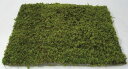 【スーパーSALE特価】 コケ・緑化用混合(砂苔+ハイ苔) 緑の絨毯 8枚セット 植木 庭木 苗木