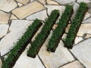 【スーパーSALE特価】 タイム(スリット)4本セット 駐車場 花壇縁取り 植木 庭木 苗木 多年生