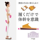 スリエット Y-Type アルファックス 体幹 スリッパ レディース 体幹トレーニング 体幹スリッパ 美姿勢 ギフト プレゼント