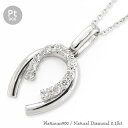 ホースシュー ダイヤモンド 0.18ct ネックレス 馬蹄 プラチナ プラチナ900 pt900 スウィング チェーン 品質保証書 女性 レディース ジュエリー...