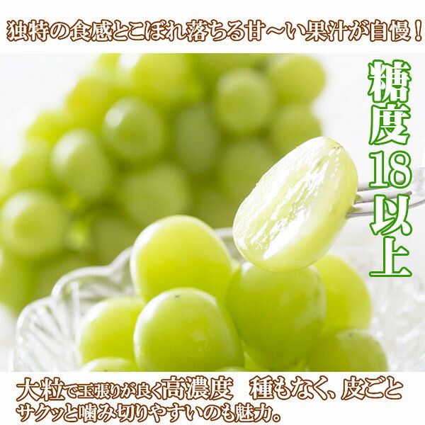 【ご予約受付中】シャインマスカット 山梨県産 お中元 ギフト 山梨 5kg 8〜9房 皮ごと食べられる 大粒 種なし マスカット ブドウ 葡萄 ぶどう 糖度18以上 ※ ふるさと納税 訳あり 岡山 県産 ぶどうの箱 ぶどうジュース ぶどう詰め合わせ ではありません