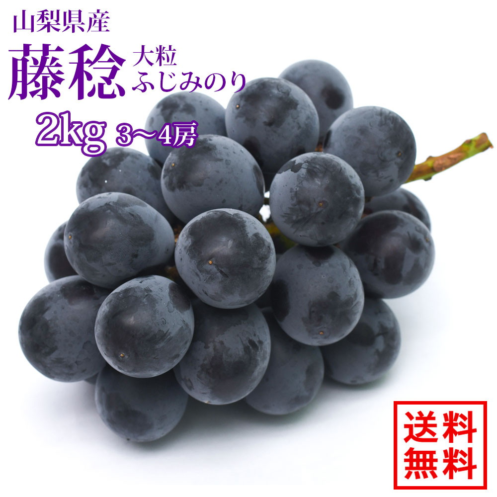【8月23日〜発送開始】2kg 3〜4房 山梨県産 藤稔 ふじみのり ぶどう 種なし 大粒 高級 贈答用 フルーツ 葡萄 ギフト 産地直送 甘い 美味しい クール便無料 送料無料