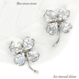 K18 ԥ ͤ С ֥롼ࡼ󥹥ȡ 6 ϡȥ ŷ 18 18  ԥ󥯥 ۥ磻ȥ...