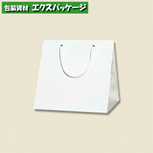 ブライトバッグ C2 シロ 50枚入 #006459600 ケース販売 取り寄せ品 シモジマ ブライトバッグ C2 シロ 50枚入 #006459600 ケース販売 取り寄せ品 シモジマ