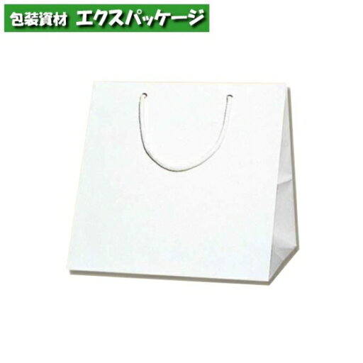 ブライトバッグ C1 シロ 50枚入 #006459500 ケース販売 取り寄せ品 シモジマ ブライトバッグ C1 シロ 50枚入 #006459500 ケース販売 取り寄せ品 シモジマ