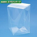 ニュークリスタルボックス 透明箱 ツイスターシリーズ ツイスターL 10枚入 #006834950 バラ販売 取り寄せ品 シモジマ