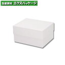 貼箱 No.3 スノー 1個入 006868425 バラ販売 取り寄せ品 シモジマ