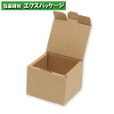 ナチュラルボックス ナチュラルBOX サック式 Z-104 10枚入 #006204104 バラ販売 取り寄せ品 シモジマ