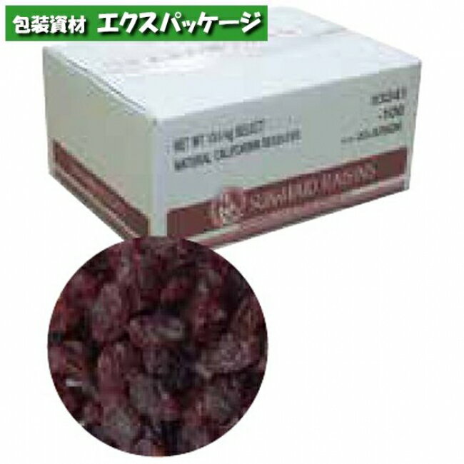 サンメイド レーズン 13.6kg 330019 取り寄せ品 池伝