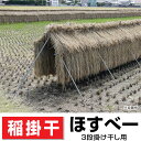 稲の掛干し ほすべー 3段掛_5畝歩(せぶ)セット 約20m分 B-1 送料無料
