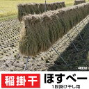 稲の掛干し ほすべー 1段掛_5畝歩(せぶ)セット 約60m分 B-3 送料無料