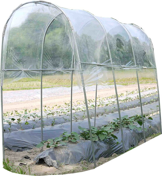 ビニールハウス雨よけハウス組立セット間口1.2m×奥行2.7m×高さ2.0m1うね用4〜5株埋め込み式家庭菜園トマトナスの栽培に