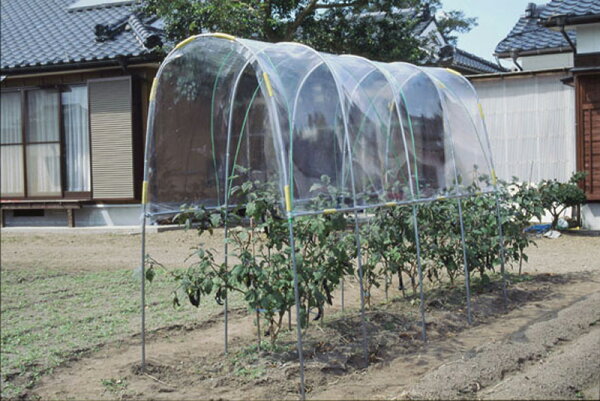 ビニールハウス雨よけハウス組立セット間口1.2m×奥行3.6m×高さ2.0m1うね用5〜6株埋め込み式野菜家庭菜園法人も個人も