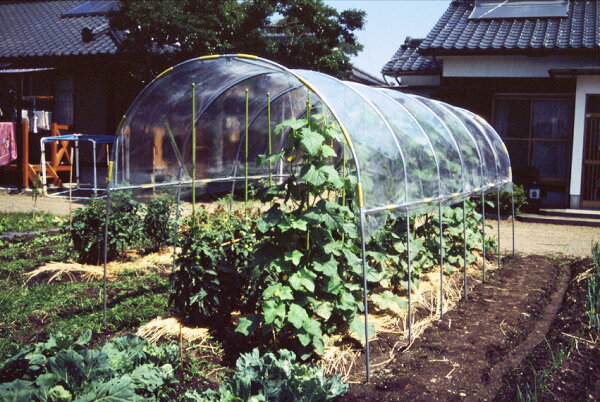 ビニールハウス雨よけハウス組立セット間口2.2mX奥行5.4mX高さ2.0m2うね用17〜18株埋め込み式野菜家庭菜園法人も個人