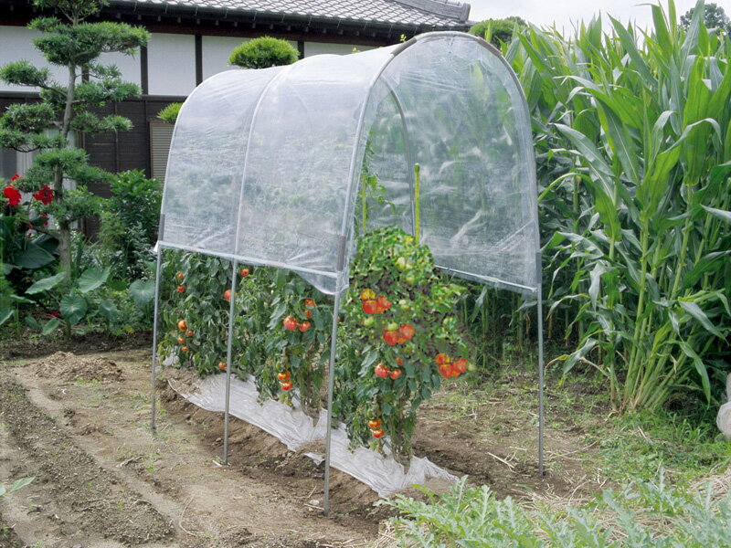 雨よけハウス組立セット 間口1.2m×奥行1.84m×高さ1.75m 1うね用 NT-18 ビニールハウス家庭菜園 トマトなすの栽培にピッタリ 法人も個人も送料無料 DIY