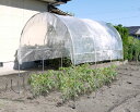 雨よけハウス組立セット 間口1.8m×奥行2.82m×高さ1.98m 2うね用8〜10株 埋め込み式ビニールハウス 野菜 家庭菜園 トマトなすの栽培にピッタリ 法人も個人も送料無料