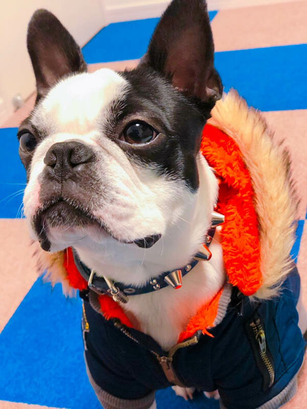 �淿���ѥ����å��׼��ء�2cm Type 003(14mm+5mm�ե�������)