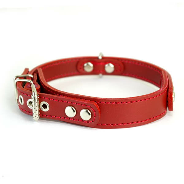 中型犬用革首輪：3cm Type GB 赤