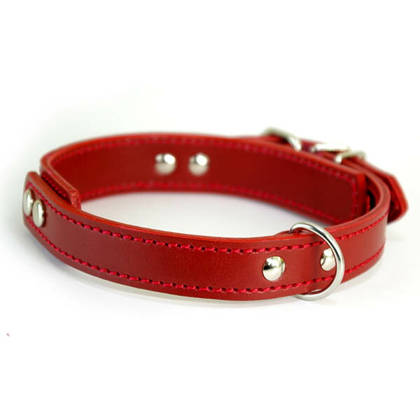 中型犬用革首輪：3cm Type GB 赤