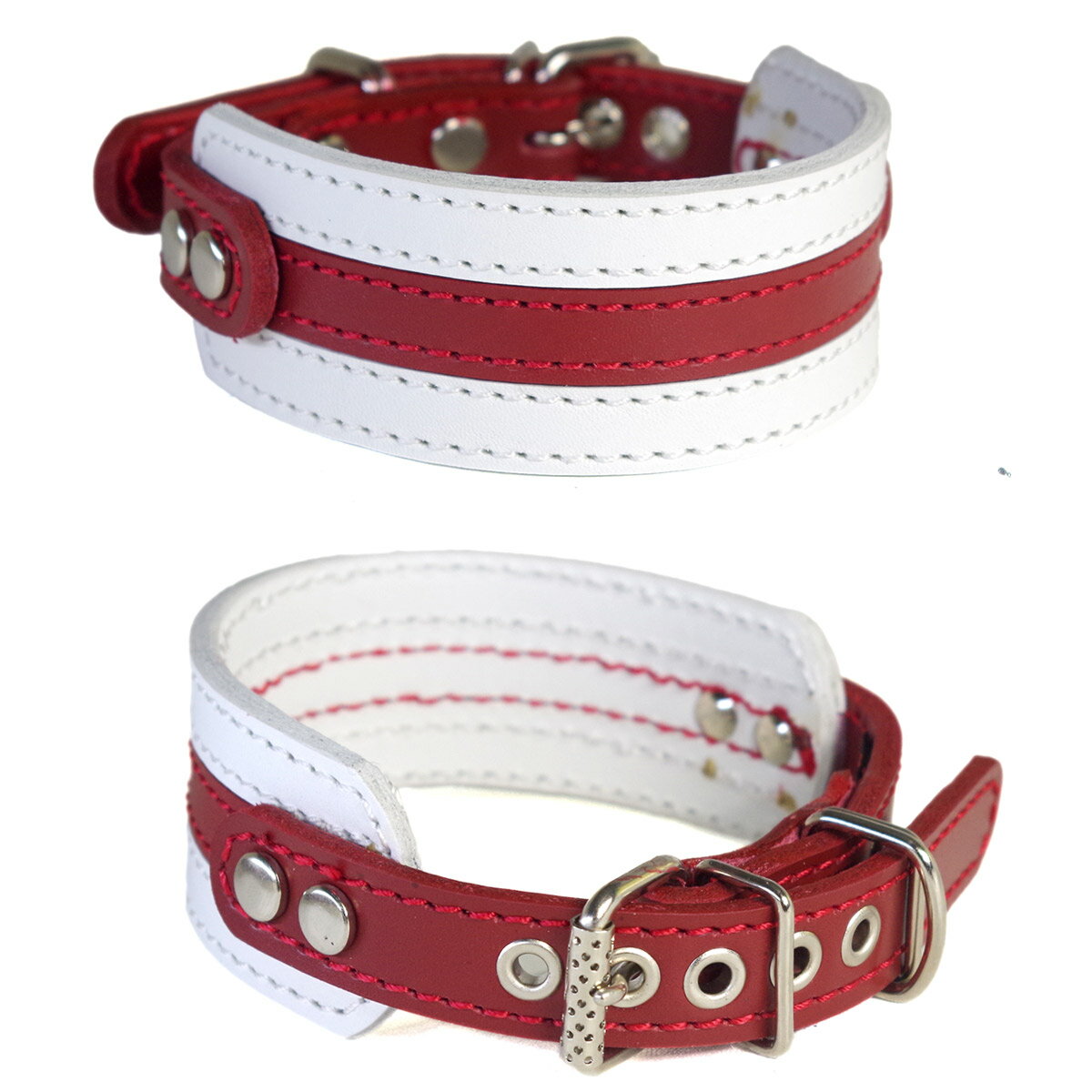 スペシャルオファ 楽天市場】ウィペット（首輪・胴輪・リード｜犬用品）：ペット 犬服・アクセサリー