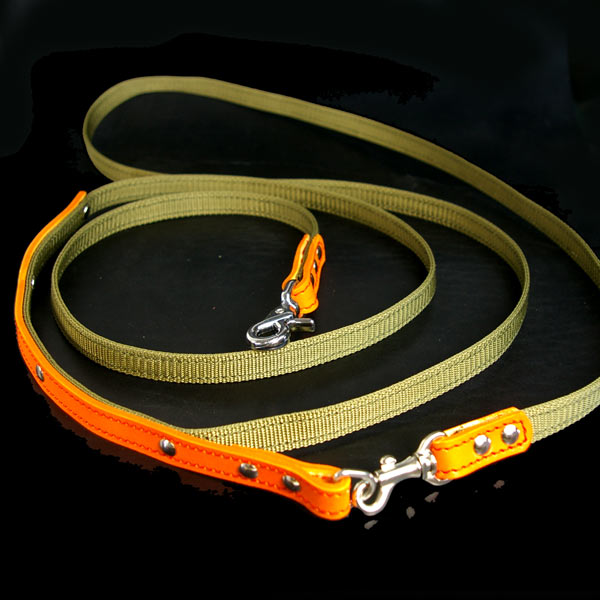 PPLead007(�꡼�ɤ����ι����Բġ�