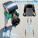 ¥5940 → 50%OFF + P3倍! 安心国内メーカー製原料使用 ランドセル 背中 パッド 登下校 ひんやり 接触冷感 冷感 クール 当店保証付 背パッド 小学生 熱中症対策グッズ 負担 軽減 子供 登校 下校 帰宅 通学 熱中症 暑さ 対策 アイスキャリー (S) 保冷 冷却 SUO FO 正規品