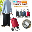 P10倍 ショッピングカート おしゃれ 簡単 かんたん 折りたたみ 折り畳み 大きく開く 保冷機能 保温機能 有り 軽量 ショッピング お買い物 キャリーカート...