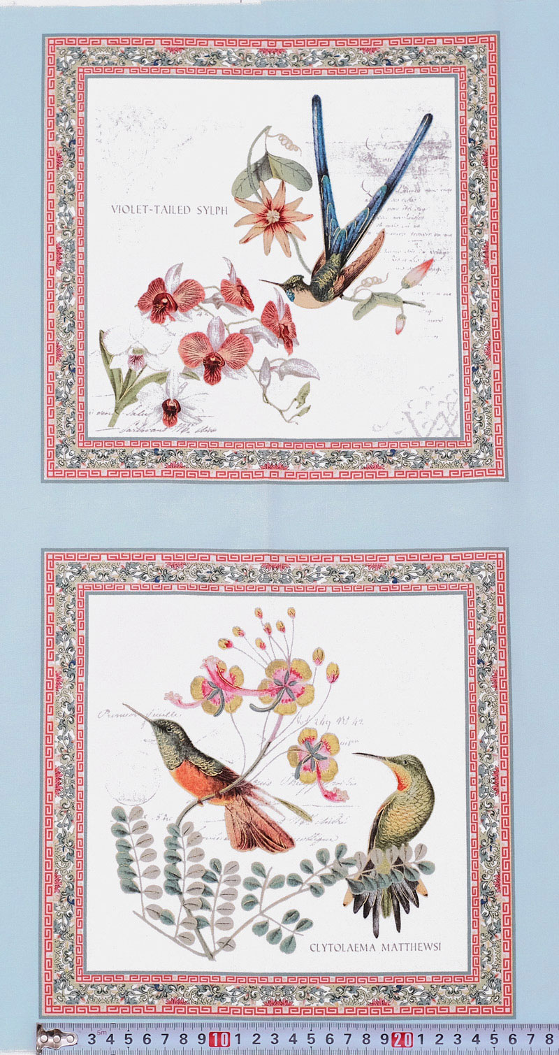 ハチドリと花 金ラメ・水色/パネル 110*58 ES-4483 未完成品 コットンプリント生地