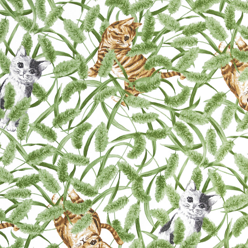 猫じゃらしの中の子ネコ クリーム/オックスフォード KT-4600 コットンプリント生地