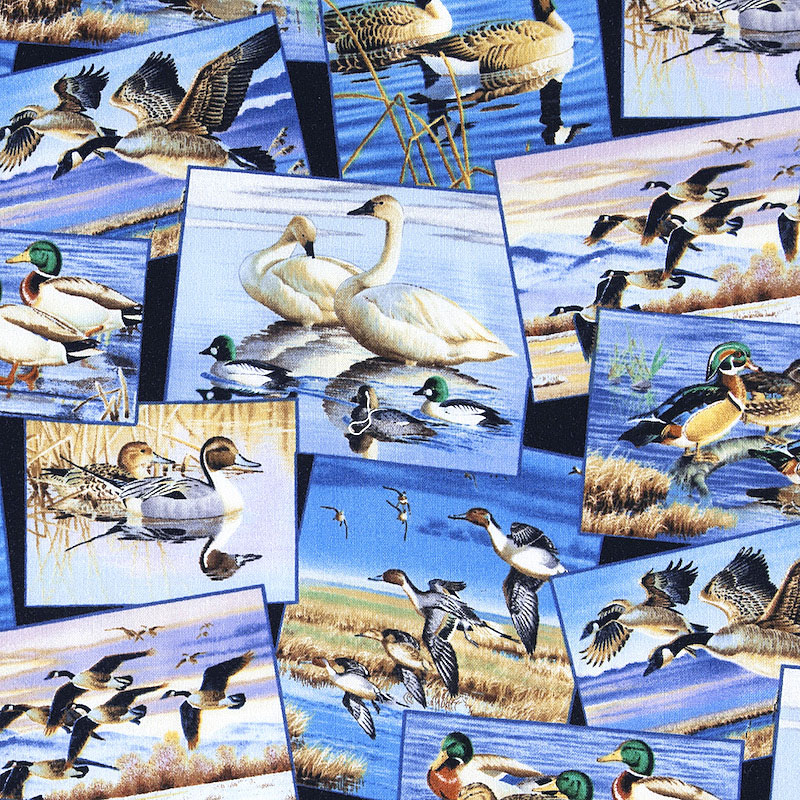 鴨、白鳥、おしどり フォトコラージュ ES-4352 コットンプリント生地