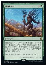 MTG　(JPN) 辺境地横断(CLB) 緑