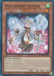 HOBBY SHOPեߥ󤯤㤨ֱѸǡ㡡Phalaenop Sisters(N(1st(ROTA-EN085פβǤʤ20ߤˤʤޤ