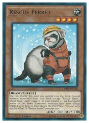 HOBBY SHOPեߥ󤯤㤨ֱѸǡ㡡Rescue Ferret(N(1st(쥹塼եå(LEHD-ENC08פβǤʤ100ߤˤʤޤ