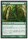 MTG@(JPN) LȐ A@V̋A (C)(ԁFEX) 