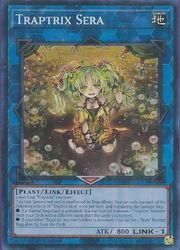 HOBBY SHOPեߥ󤯤㤨ֱѸǡLTraptrix Sera(SR(1st((RA04-EN075פβǤʤ50ߤˤʤޤ