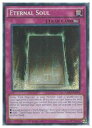 英語版 LDK2 ピ Eternal Soul(S)(永遠の魂)