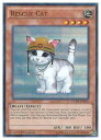 pŁ@DUSA@@Rescue Cat(U)(1st)(XL[Lbg)